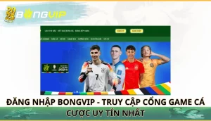 Đăng nhập Bongvip