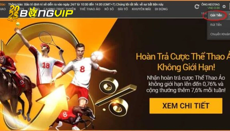 Tỷ lệ hoàn trả thể thao trực tuyến cụ thể và cách tính 