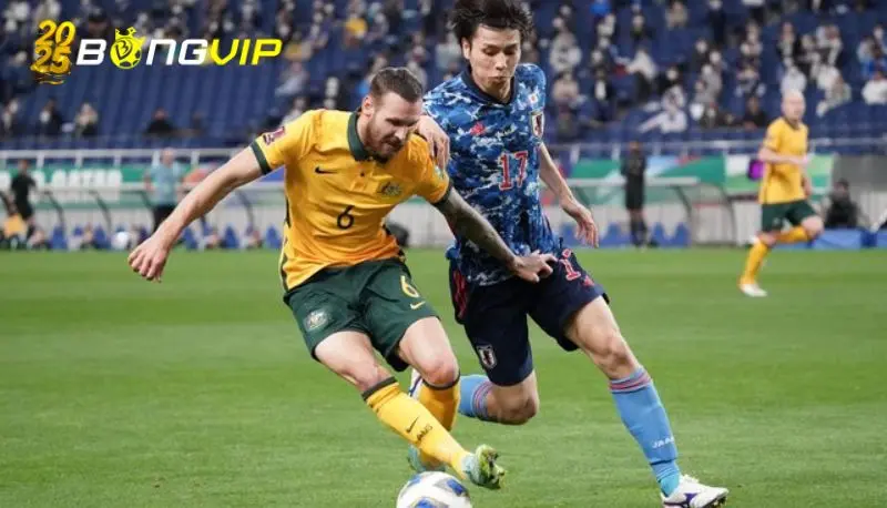 Phong độ hiện tại của Australia tại soi kèo Australia vs Nhật Bản