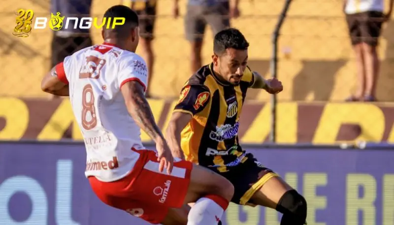 Phong độ Novorizontino tại soi kèo Vila Nova vs Novorizontino
