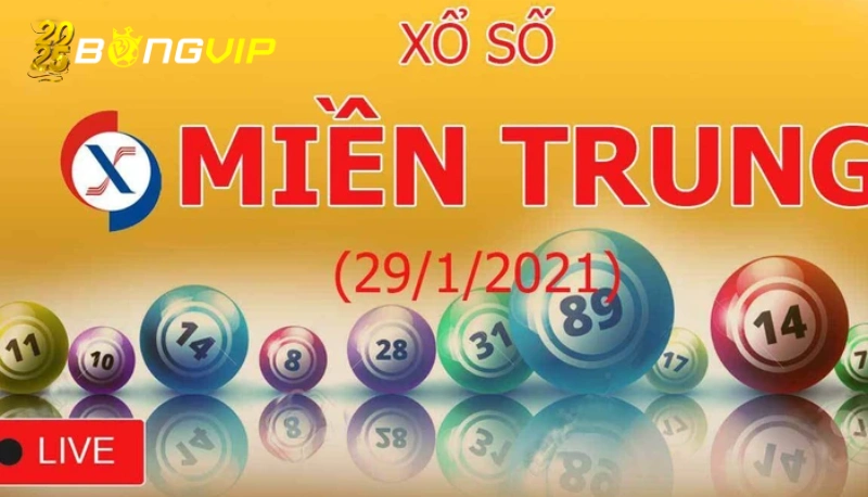 xổ số miền Trung Bí quyết từ cao thủ giúp chơi xổ số dễ thắng hơn